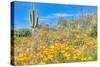 Blooming Desert-Anton Foltin-Stretched Canvas