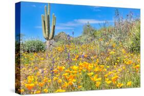 Blooming Desert-Anton Foltin-Stretched Canvas