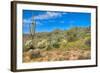 Blooming Desert-Anton Foltin-Framed Photographic Print