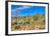 Blooming Desert-Anton Foltin-Framed Photographic Print