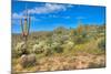 Blooming Desert-Anton Foltin-Mounted Photographic Print