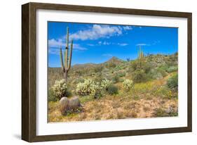 Blooming Desert-Anton Foltin-Framed Photographic Print