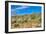 Blooming Desert-Anton Foltin-Framed Photographic Print