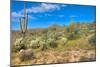 Blooming Desert-Anton Foltin-Mounted Photographic Print