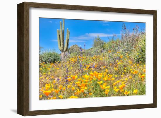 Blooming Desert-Anton Foltin-Framed Photographic Print