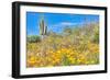 Blooming Desert-Anton Foltin-Framed Photographic Print