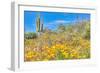 Blooming Desert-Anton Foltin-Framed Photographic Print