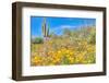 Blooming Desert-Anton Foltin-Framed Photographic Print