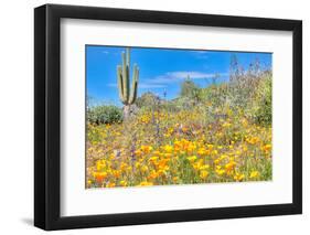 Blooming Desert-Anton Foltin-Framed Photographic Print