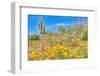 Blooming Desert-Anton Foltin-Framed Photographic Print