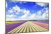 Blooming Fields of Flowers in Holland-Maugli-l-Mounted Photographic Print