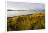 Blooming Fireweed and Tall Grasses Along Beach at Olga Creek, Olga Bay-Lynn M^ Stone-Framed Photographic Print