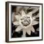 Blooming Flowers 5664-Rica Belna-Framed Premium Giclee Print