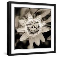 Blooming Flowers 5664-Rica Belna-Framed Premium Giclee Print