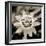 Blooming Flowers 5664-Rica Belna-Framed Premium Giclee Print