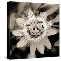 Blooming Flowers 5664-Rica Belna-Stretched Canvas