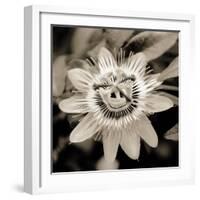 Blooming Flowers 5664-Rica Belna-Framed Giclee Print