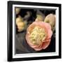 Blooming Flowers 5669-Rica Belna-Framed Premium Giclee Print