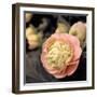 Blooming Flowers 5669-Rica Belna-Framed Giclee Print