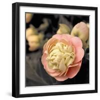 Blooming Flowers 5669-Rica Belna-Framed Giclee Print