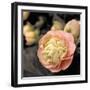 Blooming Flowers 5669-Rica Belna-Framed Giclee Print