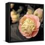 Blooming Flowers 5669-Rica Belna-Framed Stretched Canvas