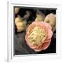 Blooming Flowers 5669-Rica Belna-Framed Giclee Print