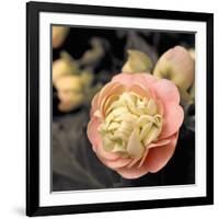 Blooming Flowers 5669-Rica Belna-Framed Giclee Print