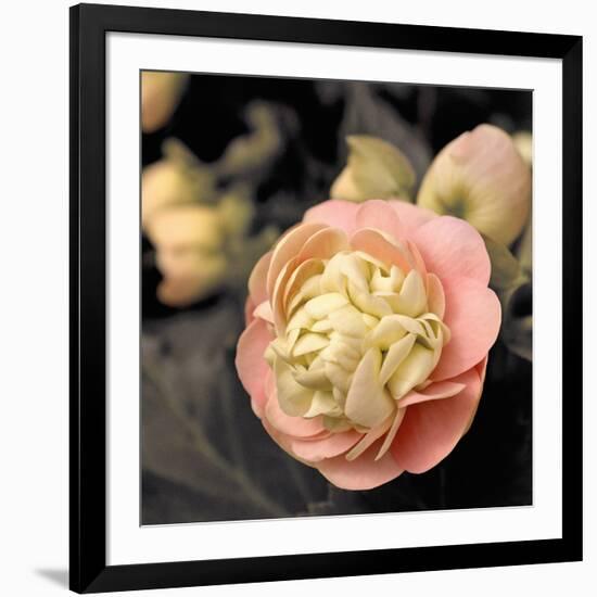 Blooming Flowers 5669-Rica Belna-Framed Giclee Print