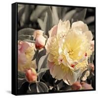Blooming Flowers 5670-Rica Belna-Framed Stretched Canvas