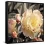 Blooming Flowers 5670-Rica Belna-Framed Stretched Canvas