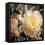 Blooming Flowers 5670-Rica Belna-Framed Stretched Canvas