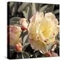 Blooming Flowers 5670-Rica Belna-Stretched Canvas
