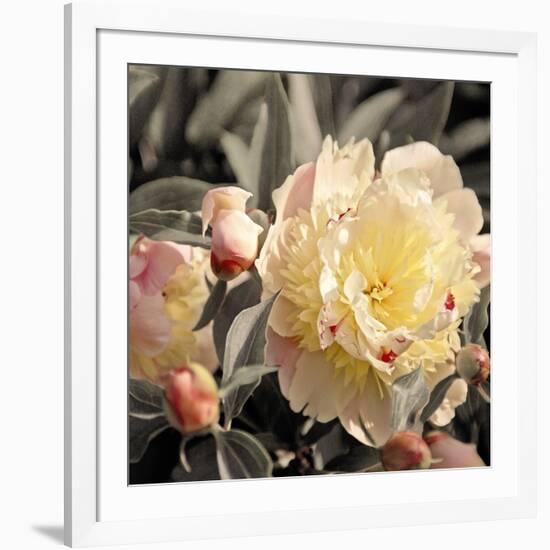 Blooming Flowers 5670-Rica Belna-Framed Giclee Print