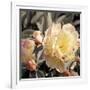 Blooming Flowers 5670-Rica Belna-Framed Giclee Print