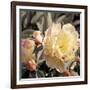 Blooming Flowers 5670-Rica Belna-Framed Giclee Print