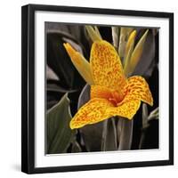 Blooming Flowers 5673-Rica Belna-Framed Giclee Print