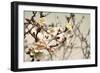 Blooming Flowers 5742-Rica Belna-Framed Giclee Print