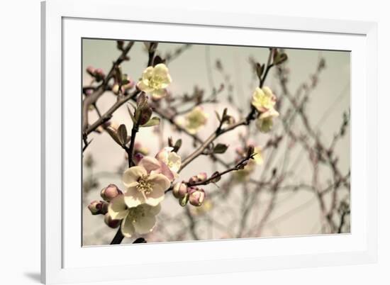 Blooming Flowers 5742-Rica Belna-Framed Giclee Print