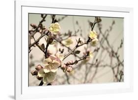 Blooming Flowers 5742-Rica Belna-Framed Giclee Print