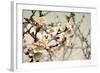 Blooming Flowers 5742-Rica Belna-Framed Giclee Print