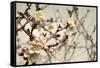 Blooming Flowers 5742-Rica Belna-Framed Stretched Canvas