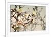 Blooming Flowers 5742-Rica Belna-Framed Premium Giclee Print