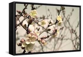 Blooming Flowers 5742-Rica Belna-Framed Stretched Canvas