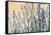 Blooming Flowers 5761-Rica Belna-Framed Stretched Canvas