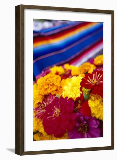Blooming Flowers at a Farmers Market-Stuart Westmorland-Framed Photographic Print