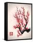 Blooming Flowers on the Tree Branch. Vector Image in Japanese Style. (Character Means Spring )-Yevhen Tarnavskyi-Framed Stretched Canvas