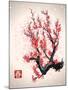 Blooming Flowers on the Tree Branch. Vector Image in Japanese Style. (Character Means Spring )-Yevhen Tarnavskyi-Mounted Art Print