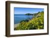 Blooming Flowers over Oneroa Beach-Michael-Framed Photographic Print