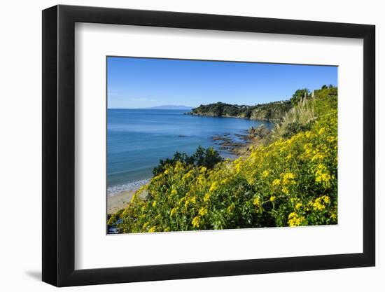 Blooming Flowers over Oneroa Beach-Michael-Framed Photographic Print